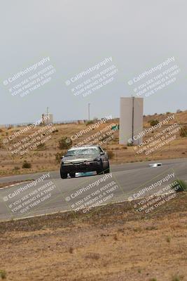 media/May-03-2025-Lucky Dog Racing (Sat) [[206de64b9d]]/Turn 6 (150pm-230pm)/